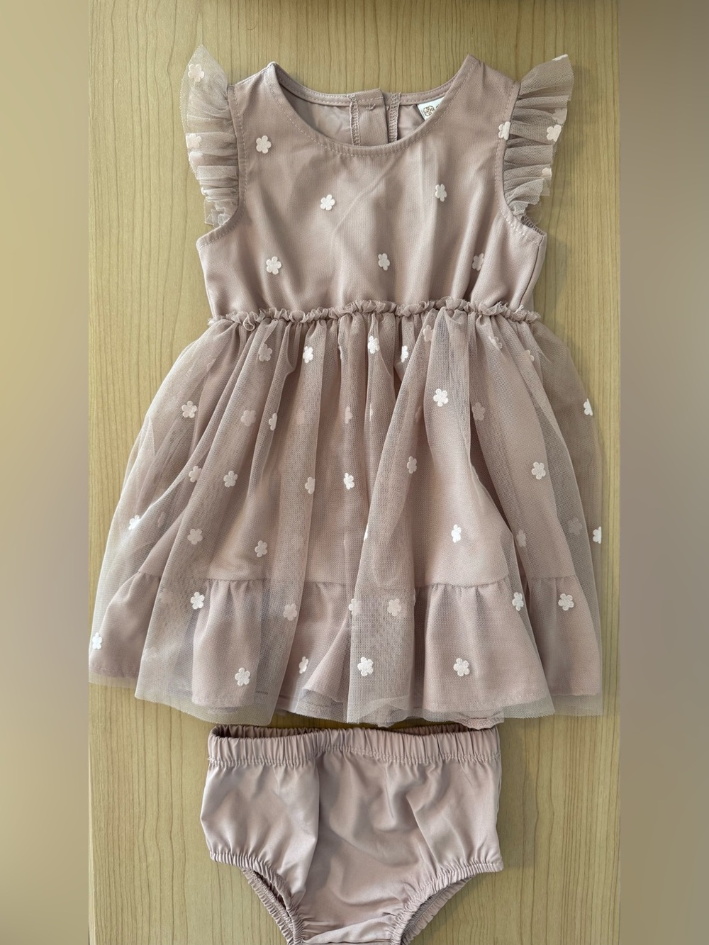 Daisy Fuentes Blush Floral Tulle Dress with Matching Bloomers